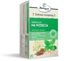 Herbapol Kraków Na wzdęcia 20 saszetek