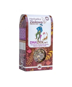 NATURA WITA Herbatka ziołowa DNAZIOŁ nr1 80g