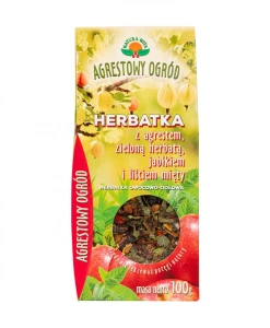 Natura Wita Herbatka z agrestem zieloną herbatą jabłkiem i miętą 100g