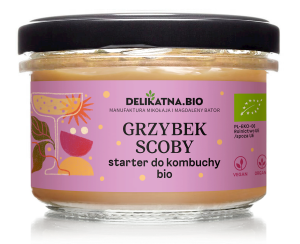 DELIKATNA Grzybek scoby starter do kombuchy BIO 150g