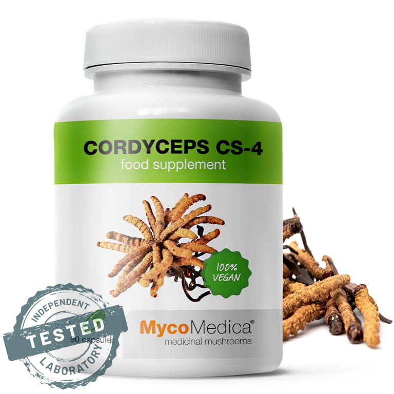 MycoMedica Cordyceps 90 kapsułek