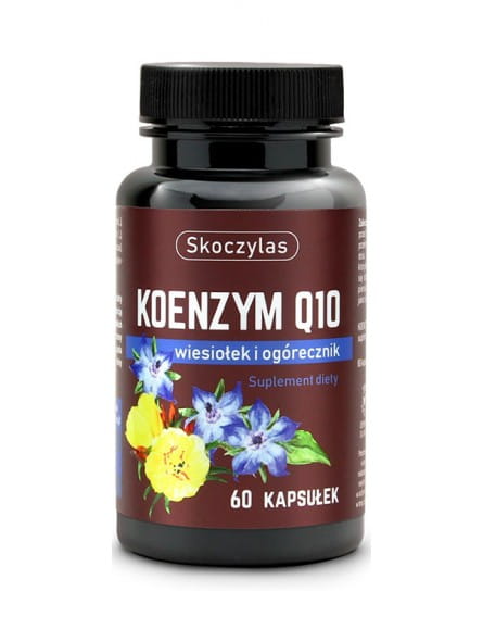 Szeroka oferta Skoczylas