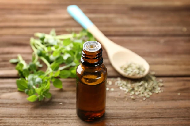 Oregano na grzybicę płuc i drug oddechowych
